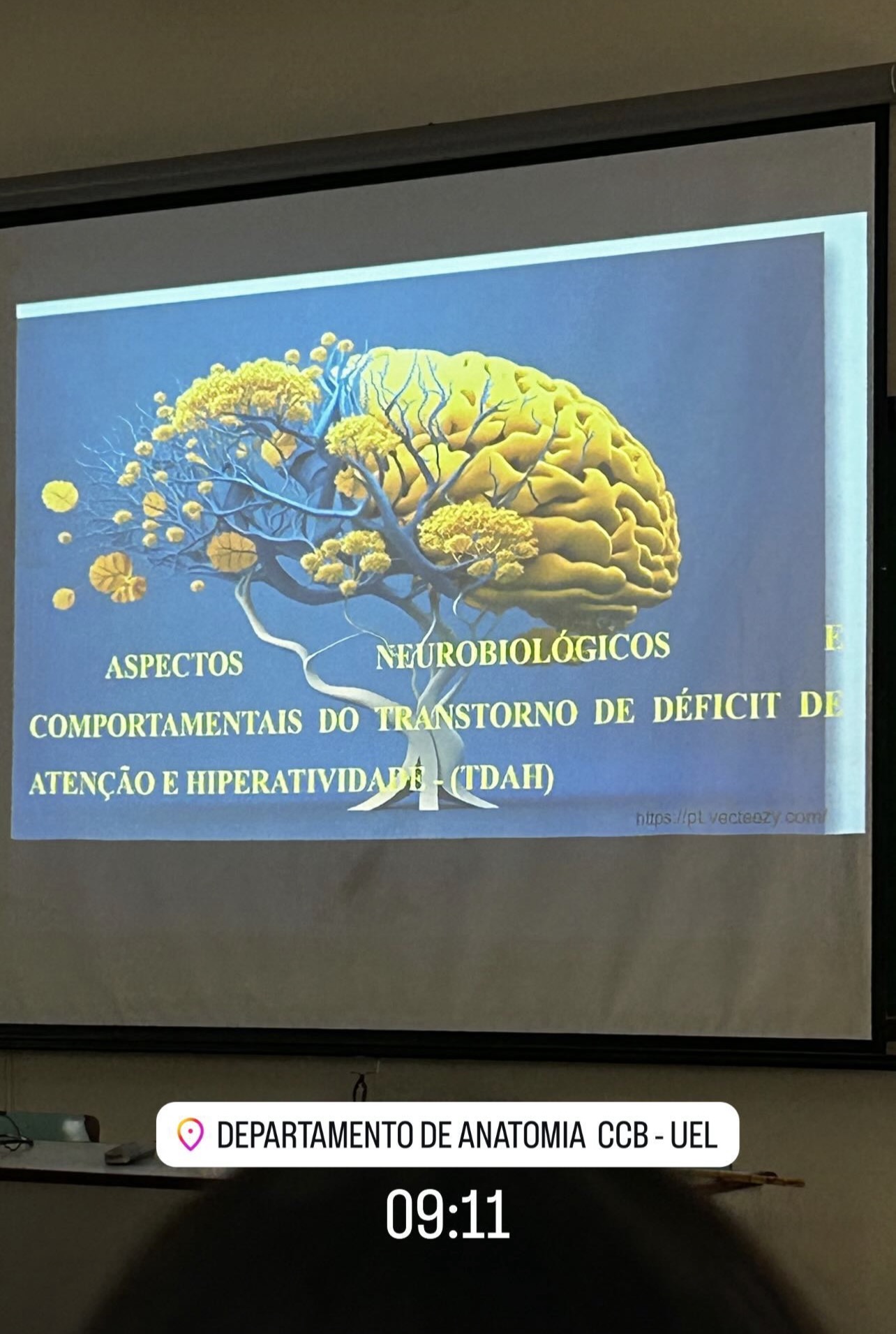 Aula sobre aspectos neurobiológicos e comportamentais do TDAH no Departamento de Anatomia da UEL